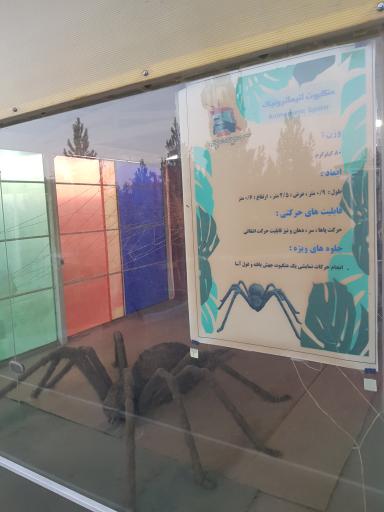 عکس مجموعه گردشگری سرزمین ربات ها 