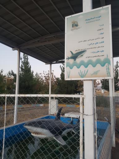 عکس مجموعه گردشگری سرزمین ربات ها 