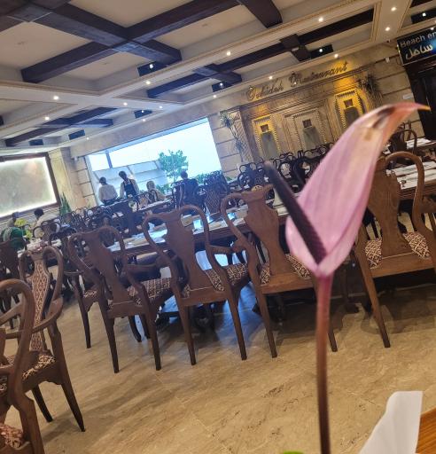 عکس رستوران کافه ارکیده (شعبه متل قو)