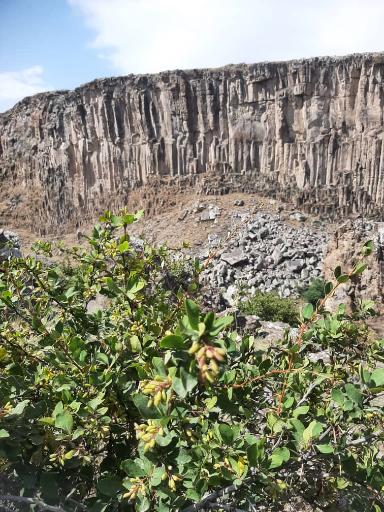 عکس منشورهای بازالتی 