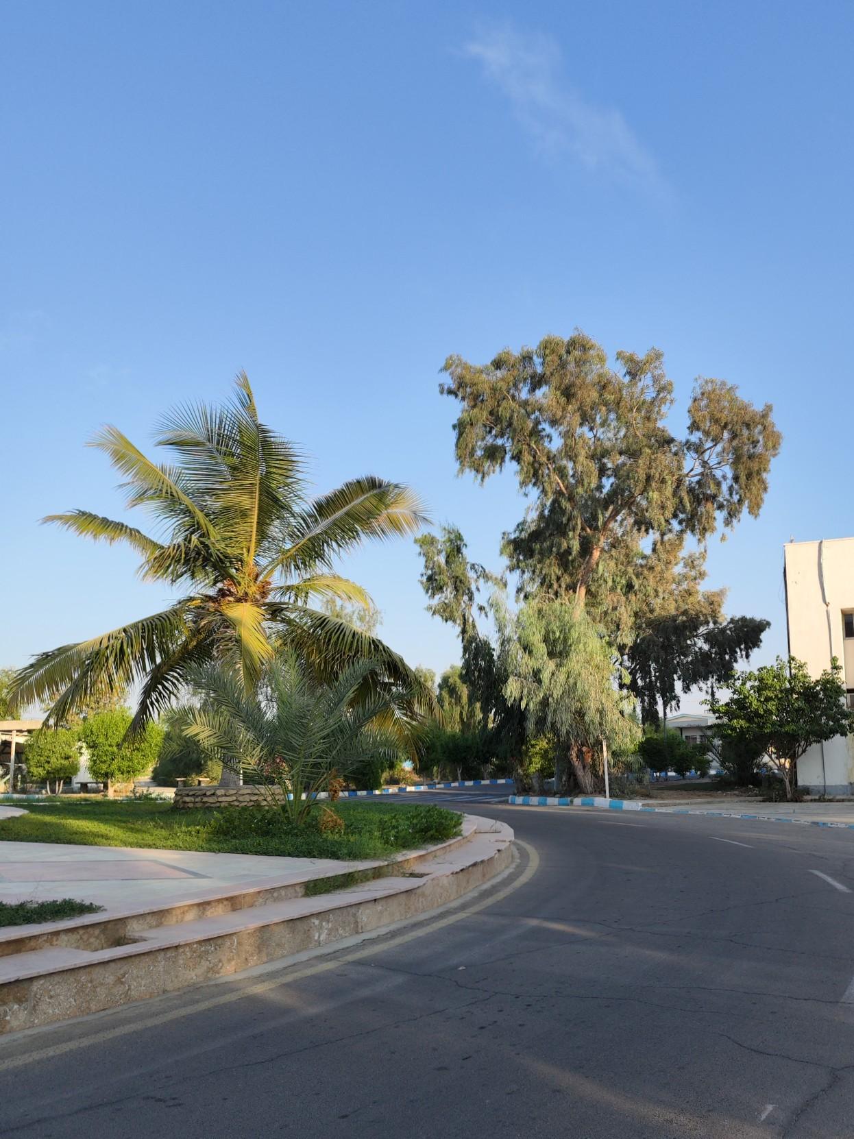 عکس میدان قایق