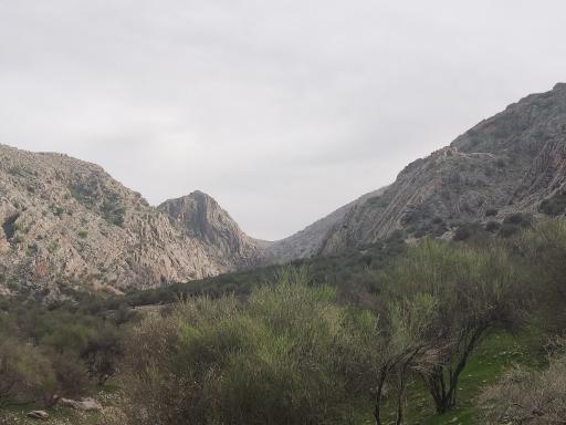 عکس چهارتنگ سفلی