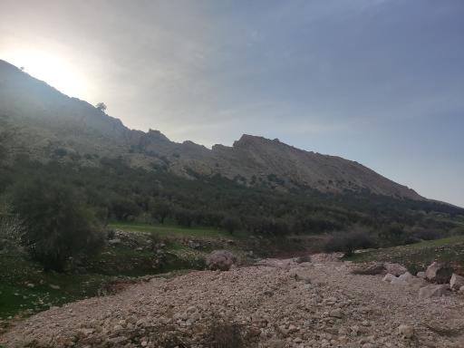 عکس چهارتنگ سفلی