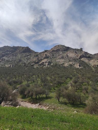 عکس چهارتنگ سفلی