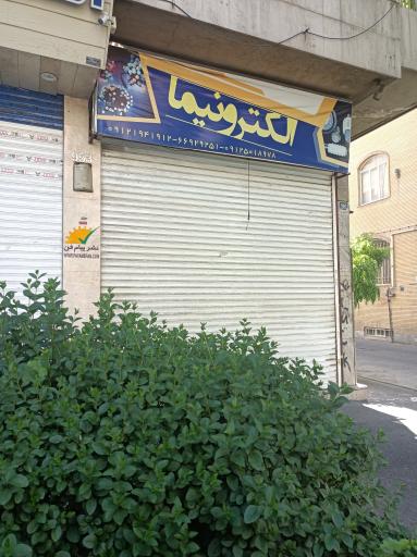 الکترونیما