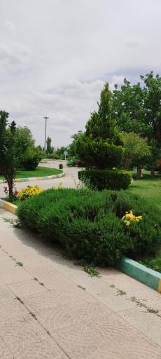 عکس دریاچه پارک ملت