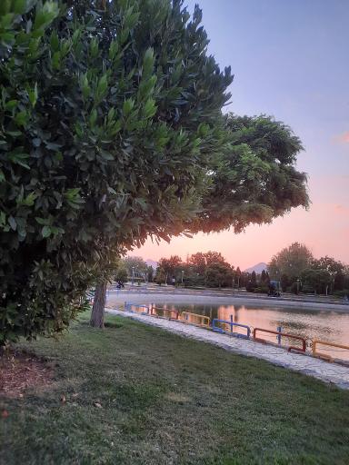 عکس دریاچه پارک ملت