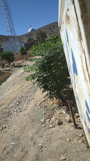 عکس گلزار شهدا