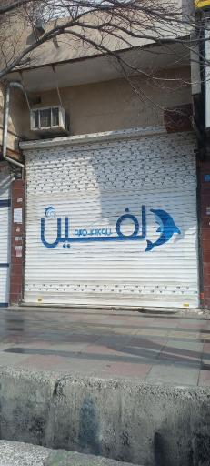 عکس چاپ دلفین