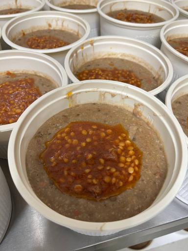 عکس غذای خانگی ریحون