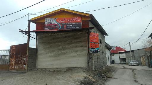 عکس صافکاری طیبی