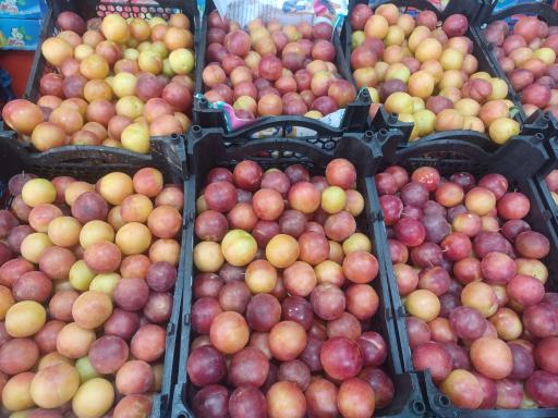 میوه و سبزیجات پدر سالار 