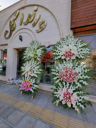 عکس وانداگل