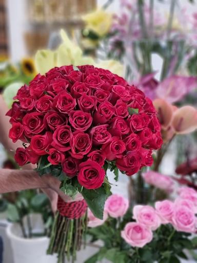 عکس وانداگل