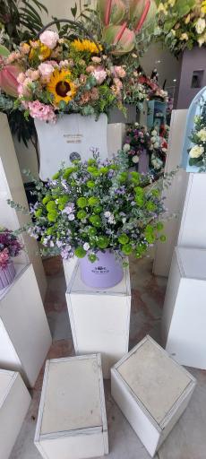 عکس گلفروشی وانداگل