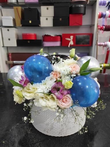 عکس وانداگل