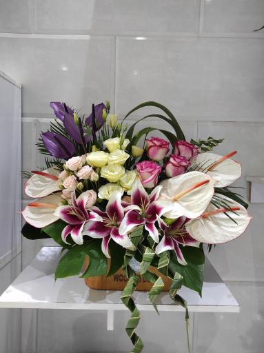 عکس وانداگل