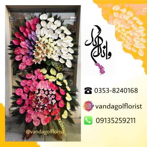 عکس وانداگل