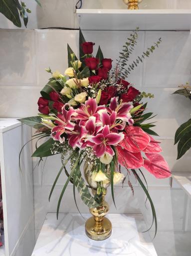 عکس وانداگل