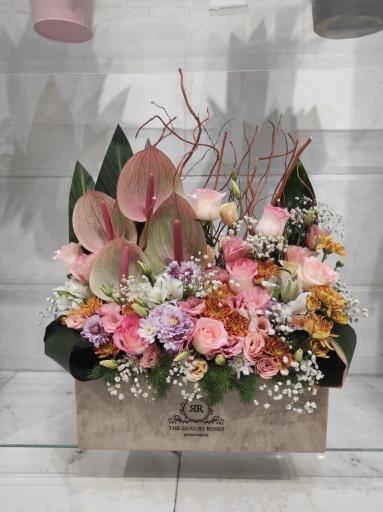 عکس وانداگل