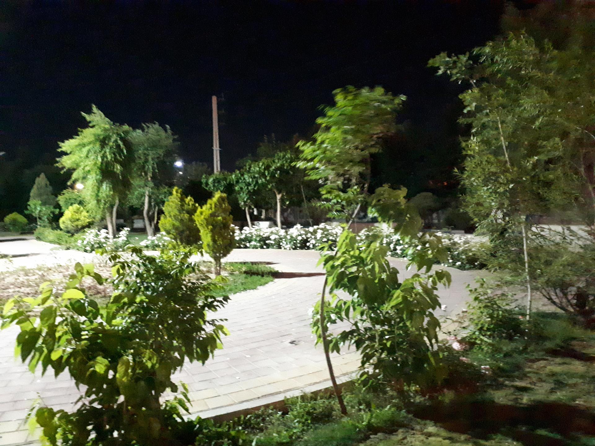 عکس بوستان شاهد