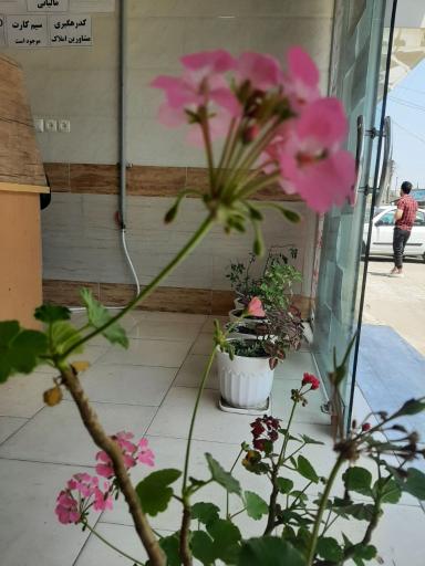 عکس کافی نت سید