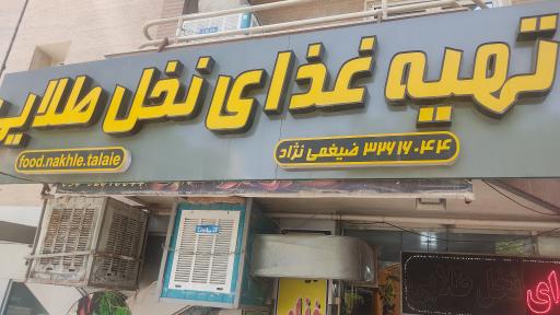 عکس تهیه غذای نخل طلایی