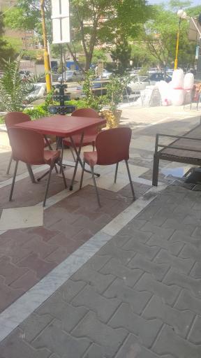 عکس تهیه غذای نخل طلایی