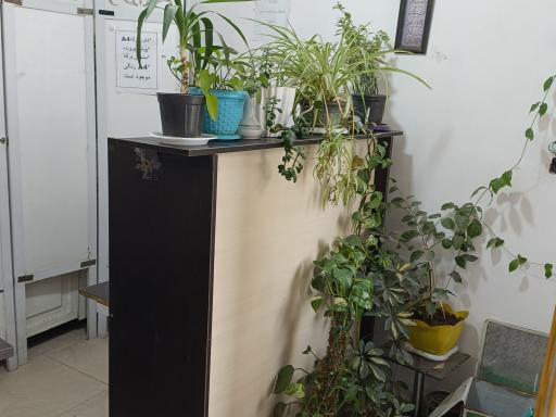 عکس کافی نت باران