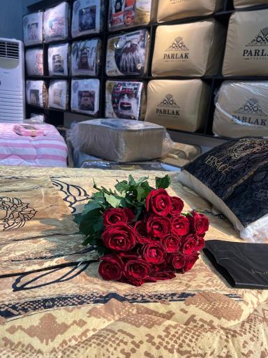 عکس کالای خواب ترکسان (نمایندگی مازندران) 