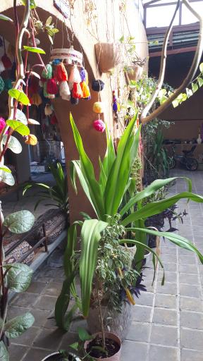 عکس كافه رستوران سنتي آريا 