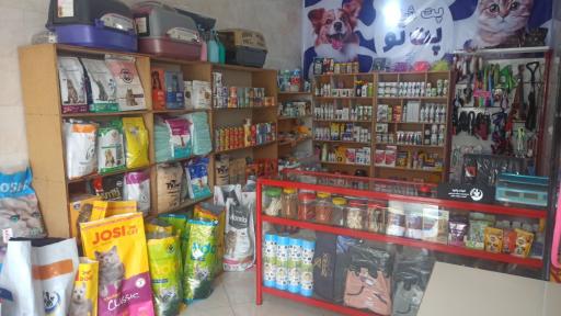 عکس پت شاپ پت تو 