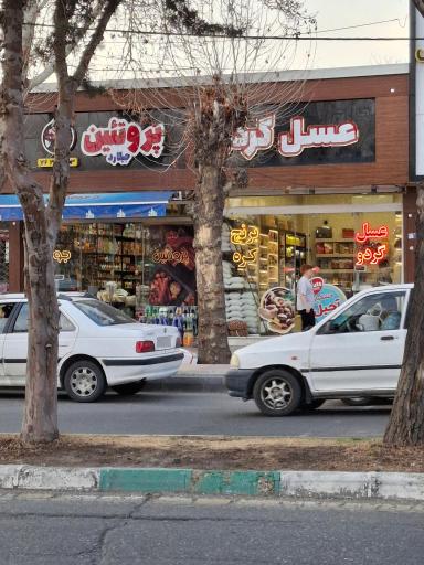 خشکبار جیلارد