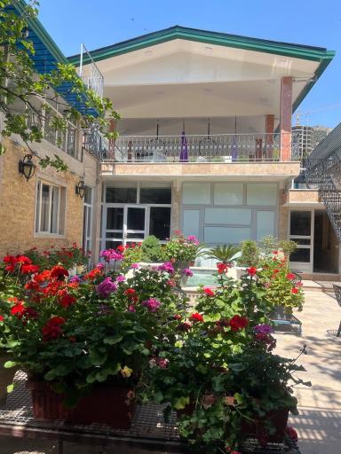 عکس آکادمی ژیمناستیک ویوا