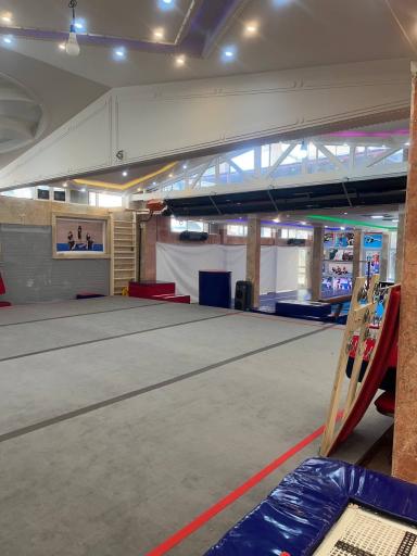 عکس آکادمی ژیمناستیک ویوا