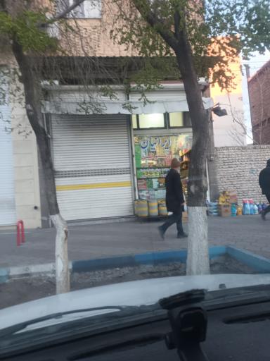 عکس ایرانیان رسولی