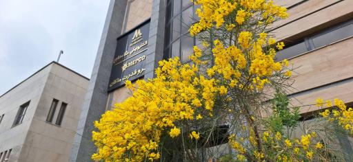 عکس صنایع الکترونیکی مگامداوم