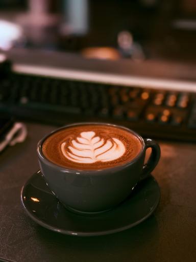 عکس برگر سجاد 