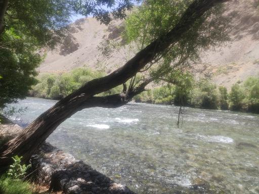 عکس پارک جنگلی سد زاینده‌رود 
