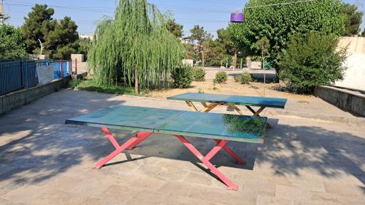 عکس میز پینگ پنگ پارک کاج