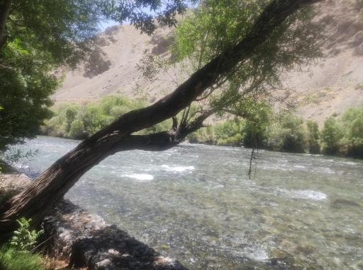 عکس پارک جنگلی سد زاینده‌رود 