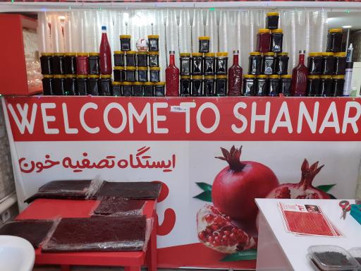 عکس شانار آزاد