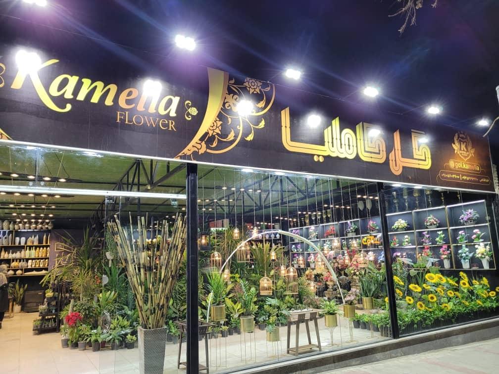 عکس گالری گل کاملیا