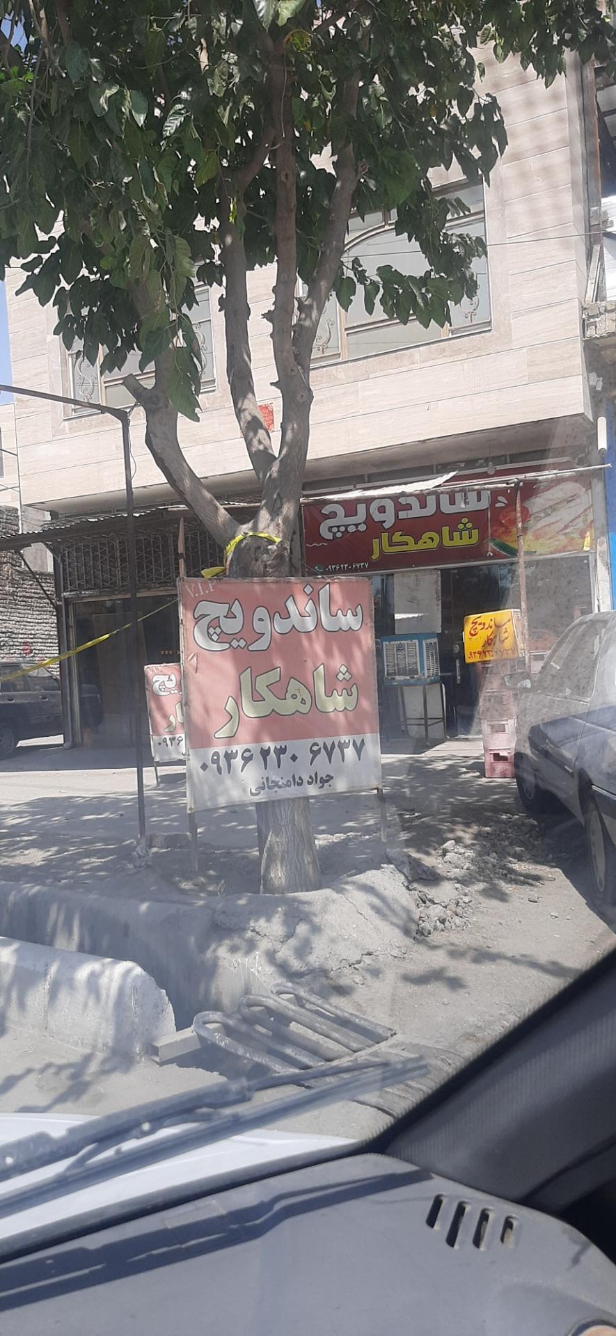 عکس ساندویچ شاهکار