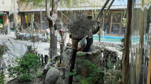 عکس رستوران باغ حوض