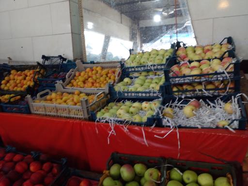 عکس سوپر میوه امیرحسین 