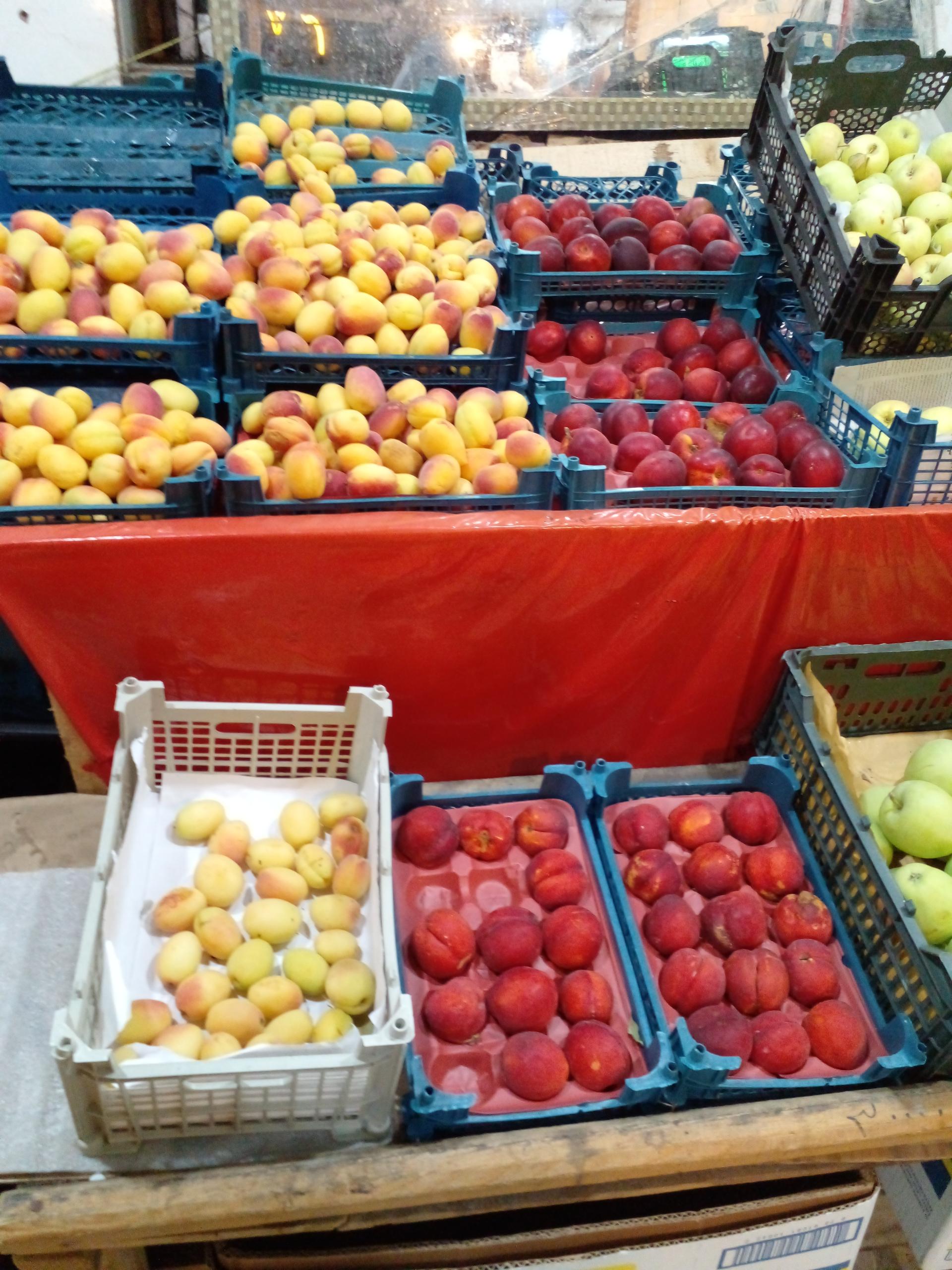 عکس سوپر میوه امیرحسین 