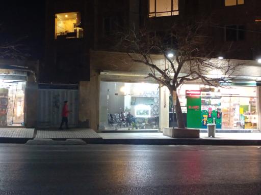 عکس  ارغوان 16