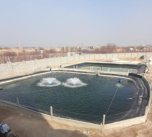 عکس پرورش ماهی حسین ابراهیمیان مراغه