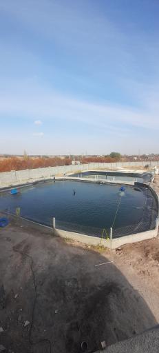 عکس پرورش ماهی حسین ابراهیمیان مراغه